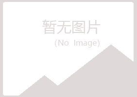 潞城山柳会计有限公司